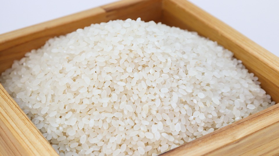 Владата и МЗШВ се подготвени да ја продолжат дополнителната мерка од 3 денари за оризопроизводителите