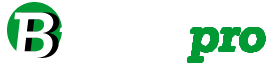 BiznisPRO