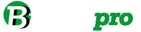 BiznisPRO